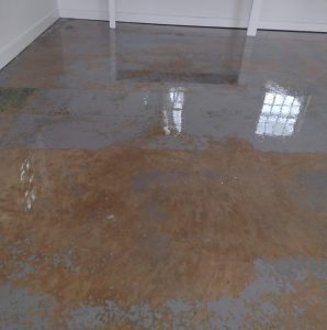 Floor services in charlottesville