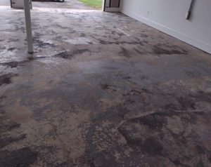 Floor services in charlottesville